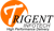 Trigent Infotech Pvt. Ltd. Logo