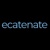 Ecatenate Limited Logo