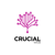 Crucial Web - Digital Marketing Agency Logo