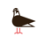 Piloto151 Logotype