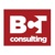 BCT Consulting, Inc. Logo