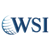 WSI Peak Digital Strategy Logo
