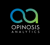 Opinosis Analytics Logo