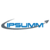 IPSUMM Inc. Logo