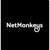 NetMonkeys Ltd Logo