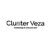 Cluster Veza Logo