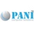 Pani Computer Solutions Logo