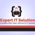 Expert IT Solutions Logo