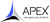 Apex Infotech India Digital Marketing Services Logo