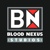 Blood Nexus Studio Logotype