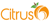 Citrus 6 Logo