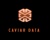 Caviar Data Logo