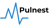 Pulnest Software Logo