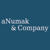 aNumak & Company Logo