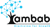 Ambab Infotech Logo