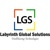 Labyrinth Global Solutions Logo