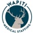 Wapiti Medical Staffing Logo