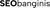 Seo banginis Logotype