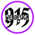 915 Web Design Logo