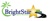 Brightstar Property Maintenance Logotype
