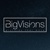 BigVisions Logo