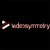 Video Symmetry Global Logo