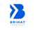 Brihat Infotech Private Limited Logo