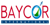 Baycor International Logo