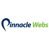 Pinnacle Webs Logo