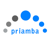 Priamba Soft LLC Logo