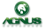 Agnus Contadores Logotype