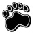 BearPaws Environmental Consulting Logo