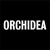 Orchidea Agency Logo