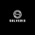Solverix Logo