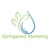 Springwood Marketing Logo
