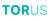Torus Logo