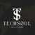 Techsoul Solutions Logo