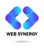 Web Synergy Logo