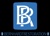 BERNHARDT Mold Inspection, Remediation, and Restoration Logo
