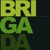 Brigada Logo