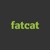 FatCat Strategies Logo