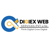 Digiex Web Services Pvt Ltd Logotype