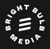 Bright Bulb Media Logo