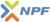 NPF Networks Logo