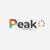 Peak Media Consulting Company Logo