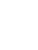 Wyvern Security Logo