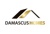 Damascus Homes LLC Logo