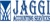 Jaggi Accounting Services Inc Logo