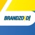 Brandzoid! Logo