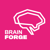 BrainForge IT: Software & Consulting Logo